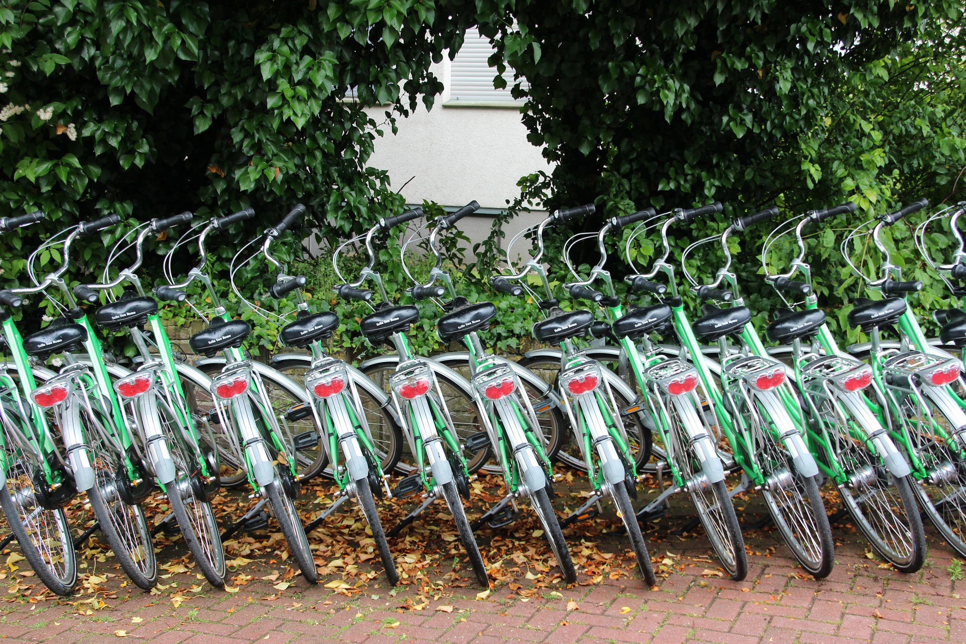 Bike Rental